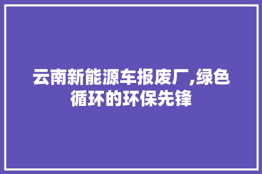 云南新能源车报废厂,绿色循环的环保先锋