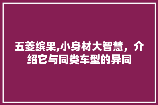 五菱缤果,小身材大智慧，介绍它与同类车型的异同