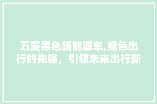 五菱黑色新能源车,绿色出行的先锋，引领未来出行新潮流