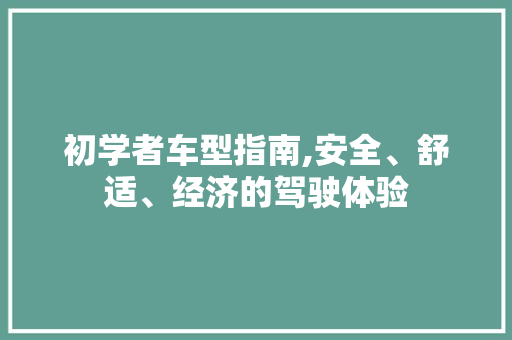 初学者车型指南,安全、舒适、经济的驾驶体验