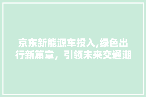 京东新能源车投入,绿色出行新篇章，引领未来交通潮流