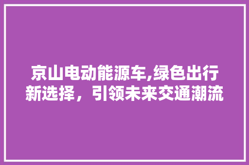 京山电动能源车,绿色出行新选择，引领未来交通潮流