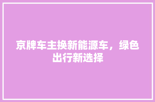 京牌车主换新能源车，绿色出行新选择