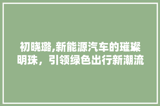 初晓璐,新能源汽车的璀璨明珠，引领绿色出行新潮流 新款车型
