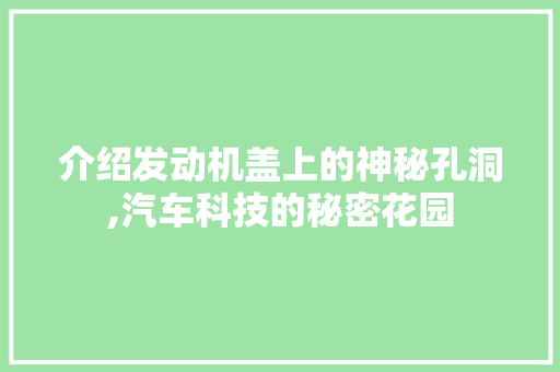 介绍发动机盖上的神秘孔洞,汽车科技的秘密花园