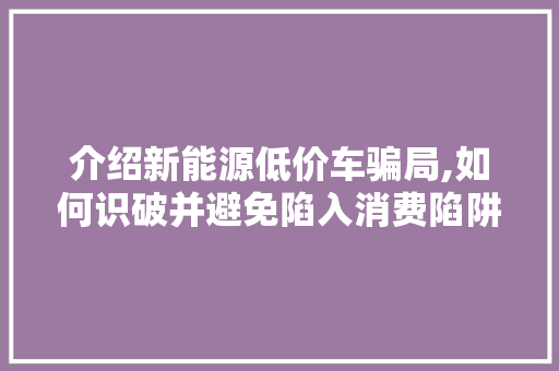 介绍新能源低价车骗局,如何识破并避免陷入消费陷阱
