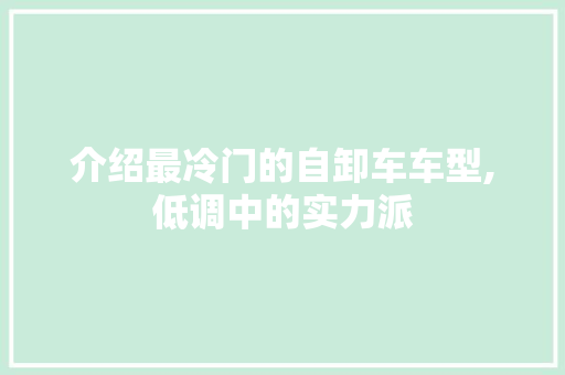 介绍最冷门的自卸车车型,低调中的实力派