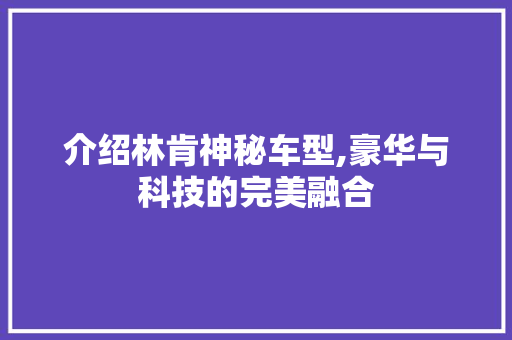 介绍林肯神秘车型,豪华与科技的完美融合