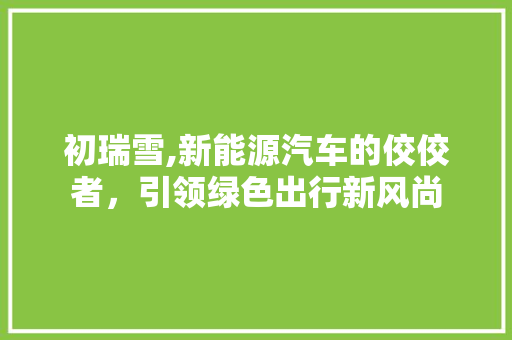 初瑞雪,新能源汽车的佼佼者，引领绿色出行新风尚