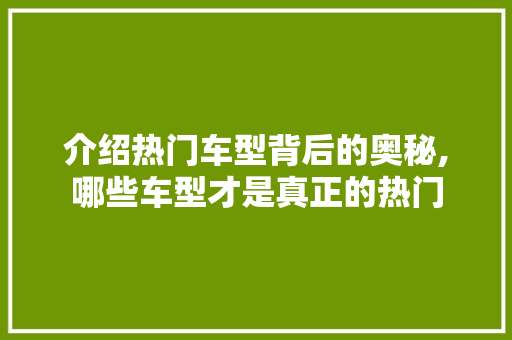 介绍热门车型背后的奥秘,哪些车型才是真正的热门