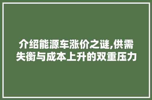 介绍能源车涨价之谜,供需失衡与成本上升的双重压力