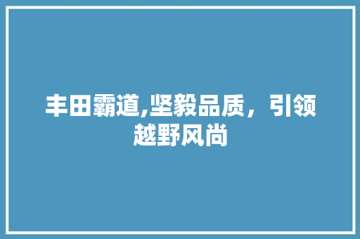 丰田霸道,坚毅品质，引领越野风尚