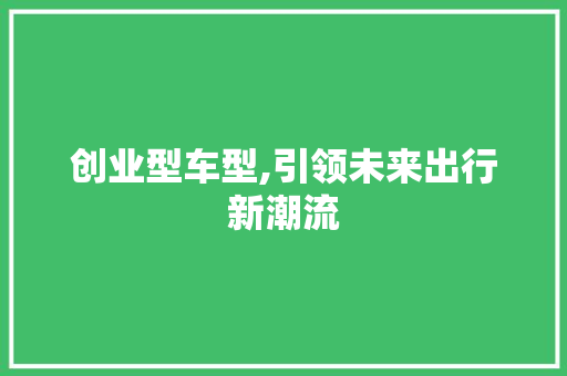 创业型车型,引领未来出行新潮流