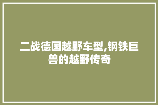 二战德国越野车型,钢铁巨兽的越野传奇