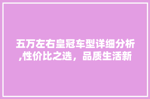 五万左右皇冠车型详细分析,性价比之选，品质生活新伙伴