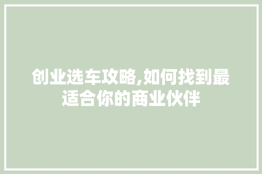 创业选车攻略,如何找到最适合你的商业伙伴
