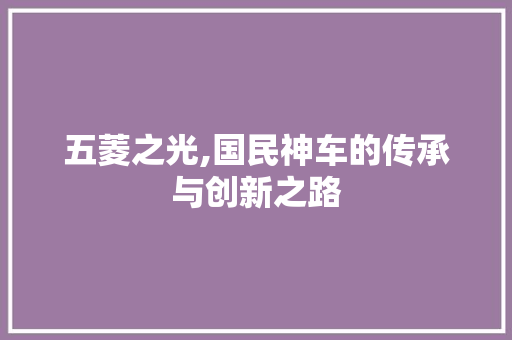 五菱之光,国民神车的传承与创新之路