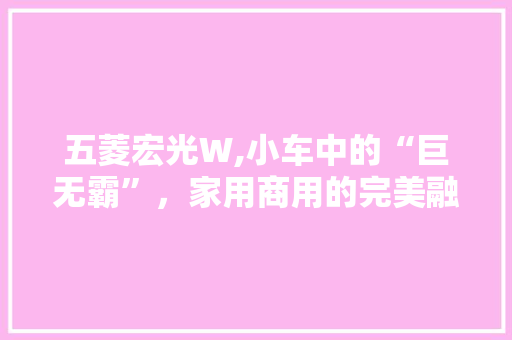 五菱宏光W,小车中的“巨无霸”，家用商用的完美融合
