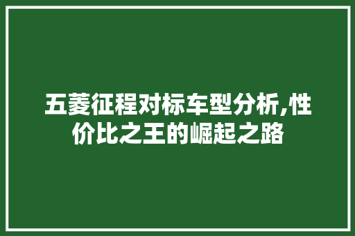 五菱征程对标车型分析,性价比之王的崛起之路