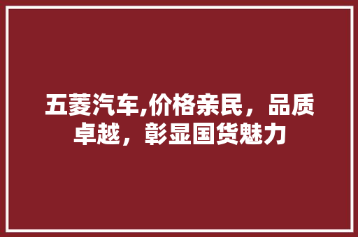 五菱汽车,价格亲民，品质卓越，彰显国货魅力