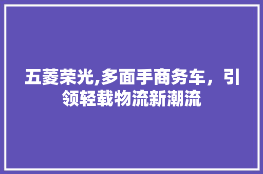 五菱荣光,多面手商务车，引领轻载物流新潮流