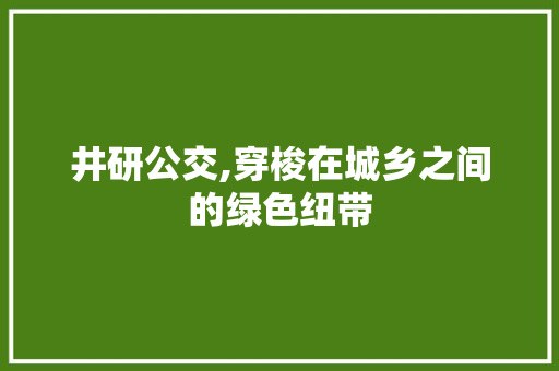 井研公交,穿梭在城乡之间的绿色纽带