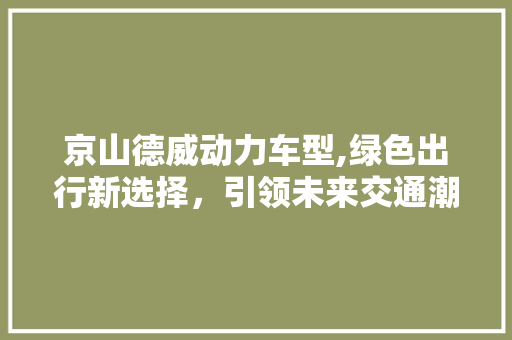 京山德威动力车型,绿色出行新选择，引领未来交通潮流