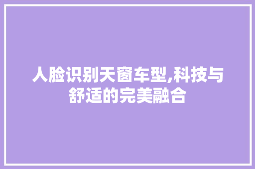 人脸识别天窗车型,科技与舒适的完美融合