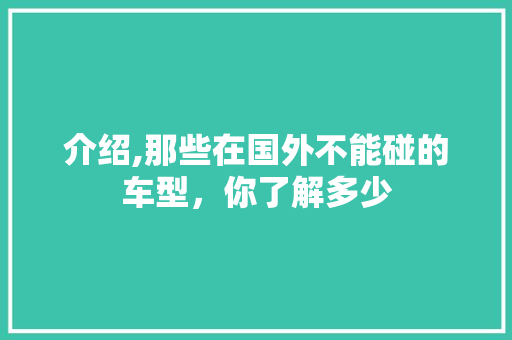 介绍,那些在国外不能碰的车型，你了解多少