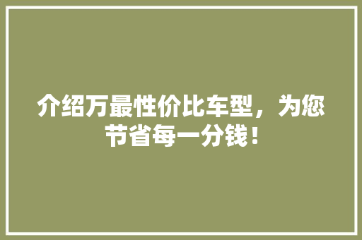 介绍万最性价比车型，为您节省每一分钱！