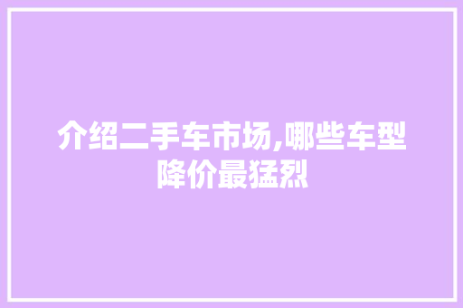 介绍二手车市场,哪些车型降价最猛烈 新能源汽车