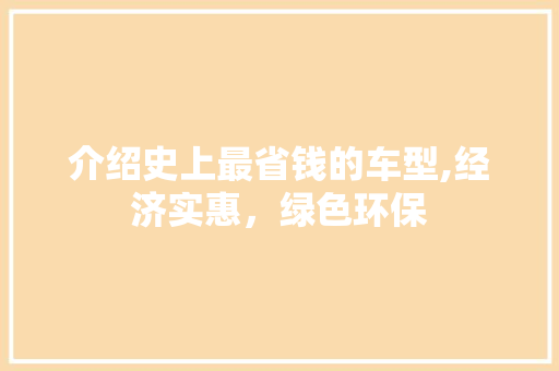 介绍史上最省钱的车型,经济实惠，绿色环保 新能源汽车
