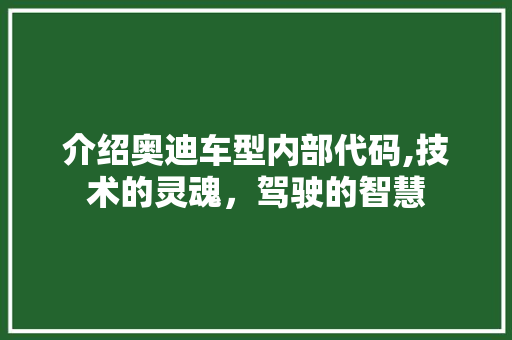 介绍奥迪车型内部代码,技术的灵魂，驾驶的智慧 发动机配件