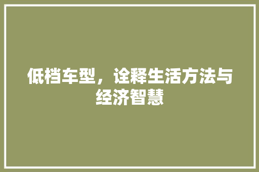 低档车型，诠释生活方法与经济智慧 新款车型