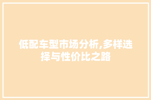 低配车型市场分析,多样选择与性价比之路