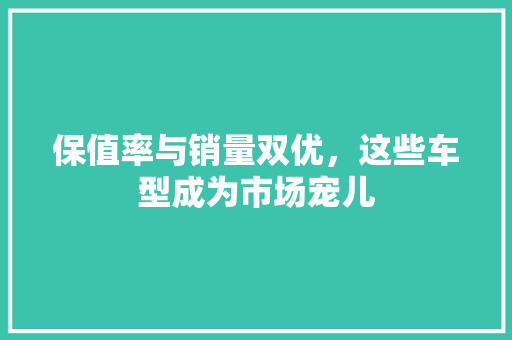 保值率与销量双优，这些车型成为市场宠儿 新能源汽车