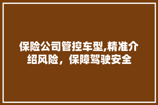 保险公司管控车型,精准介绍风险，保障驾驶安全 新能源汽车