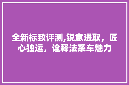全新标致评测,锐意进取，匠心独运，诠释法系车魅力