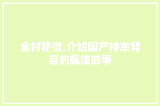 全村骄傲,介绍国产神车背后的辉煌故事