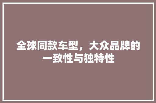 全球同款车型，大众品牌的一致性与独特性