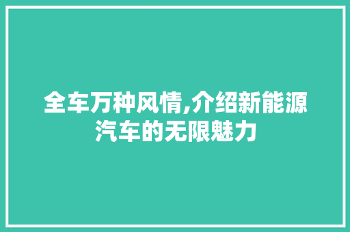 全车万种风情,介绍新能源汽车的无限魅力