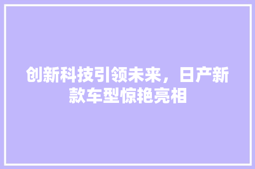 创新科技引领未来，日产新款车型惊艳亮相 蓄电池配件