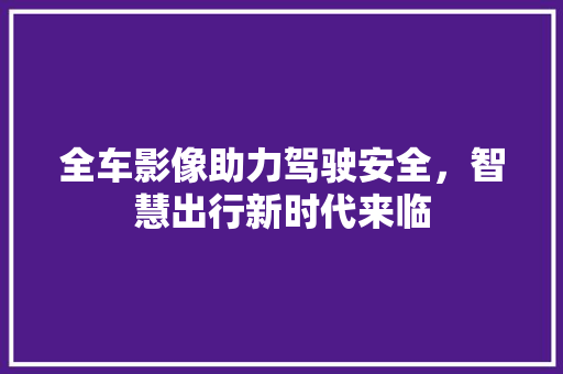 全车影像助力驾驶安全，智慧出行新时代来临
