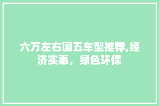 六万左右国五车型推荐,经济实惠，绿色环保 新款车型