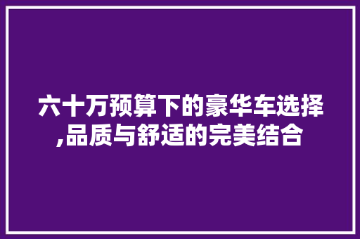 六十万预算下的豪华车选择,品质与舒适的完美结合 车身配件