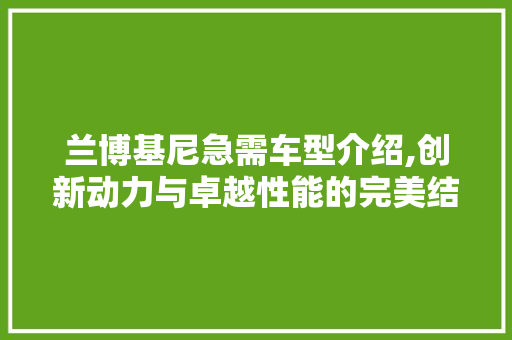兰博基尼急需车型介绍,创新动力与卓越性能的完美结合