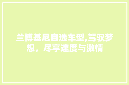 兰博基尼自选车型,驾驭梦想，尽享速度与激情 车灯配件