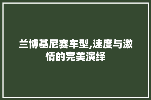 兰博基尼赛车型,速度与激情的完美演绎 车灯配件