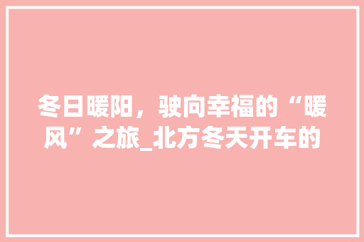 冬日暖阳，驶向幸福的“暖风”之旅_北方冬天开车的车型推荐