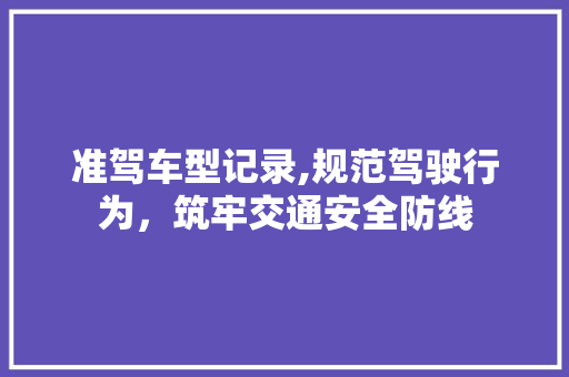 准驾车型记录,规范驾驶行为，筑牢交通安全防线 新能源汽车